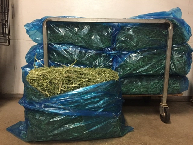Large bag of hay