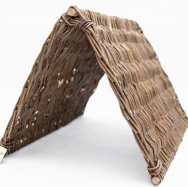 Willow Tent