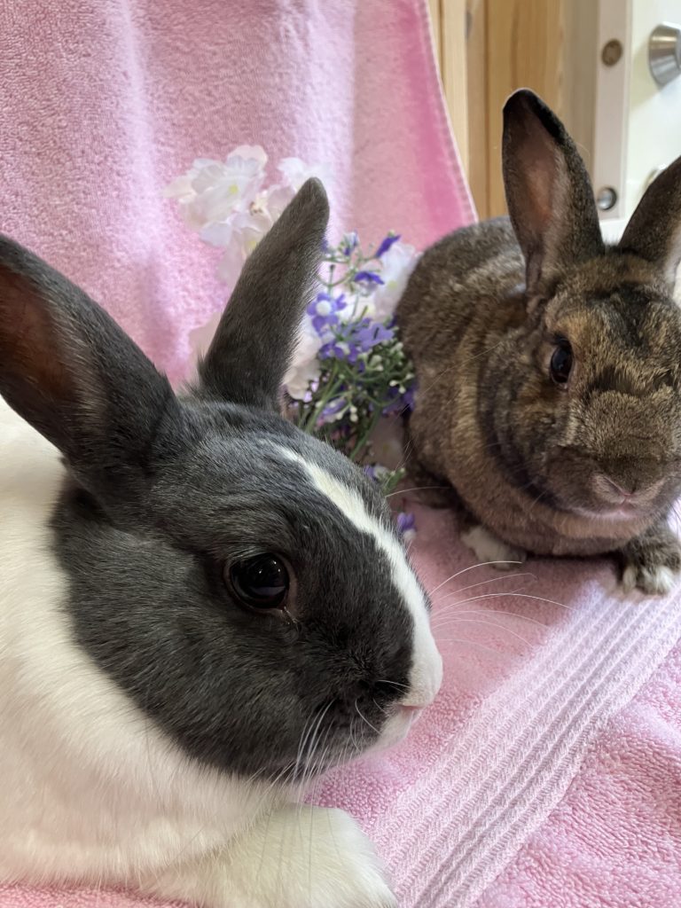 Charlotte and Branwell (Vancouver)