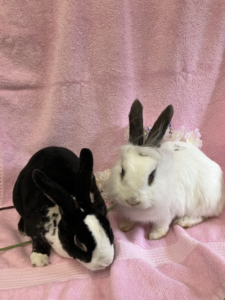 Omar and Charly (Vancouver)